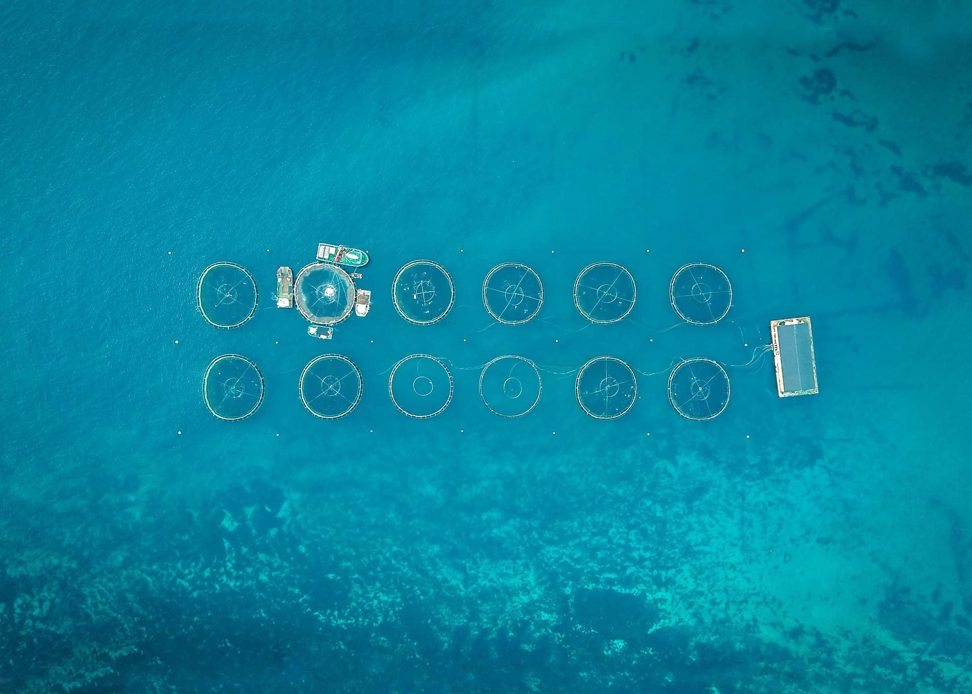 Aquaculture
