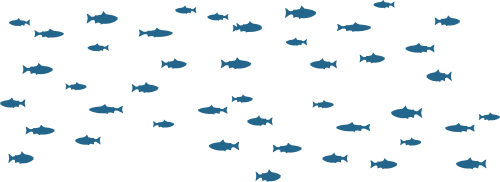 Smolt