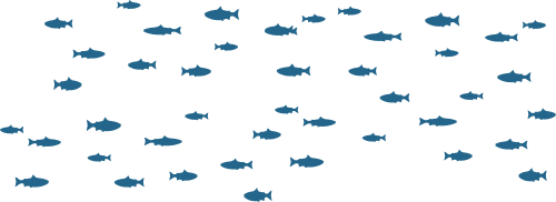 Smolt