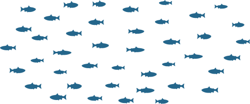 Subadult