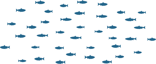 Subadult