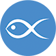 fish feed icon